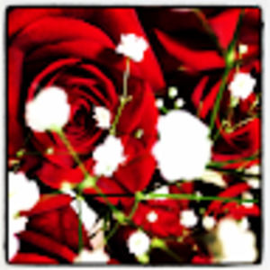 Meet your Posher, Chelsea